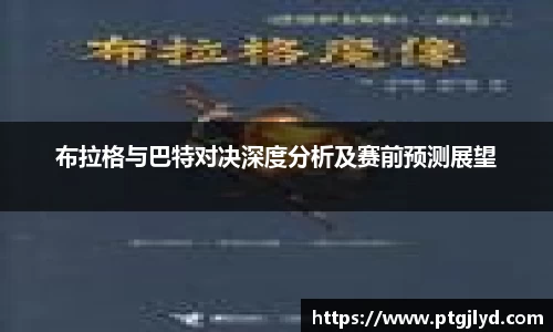 bsports官网入口