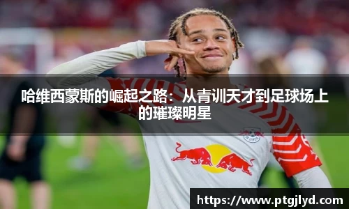 bsports官网